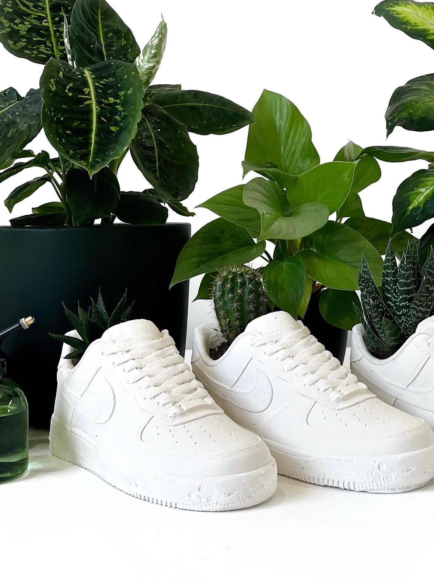 Sneaker Planter