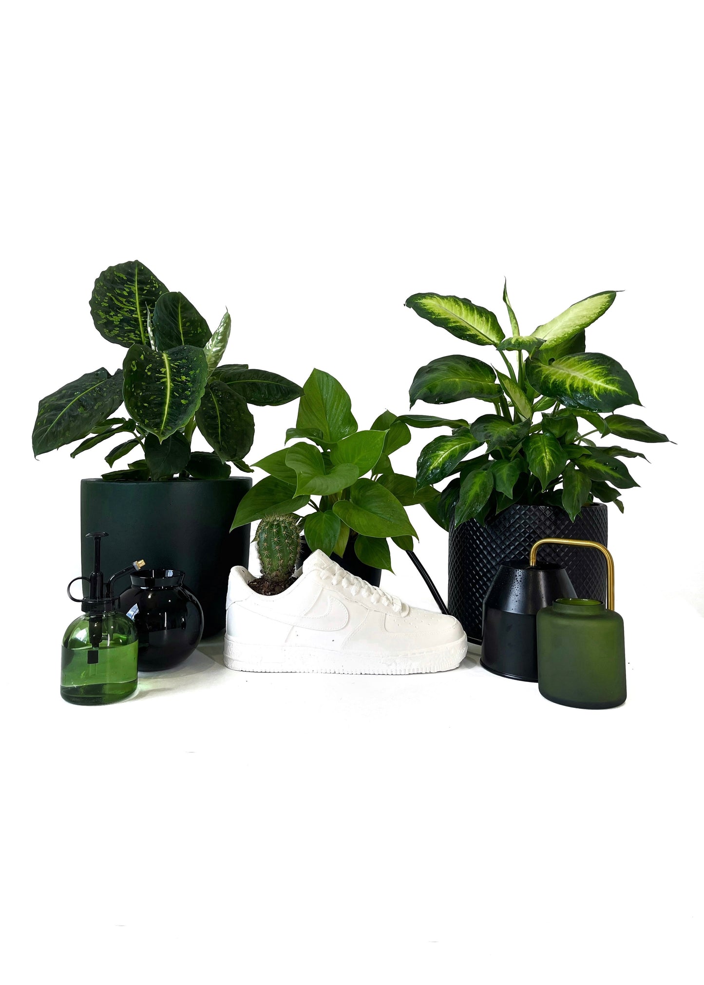 Sneaker Planter